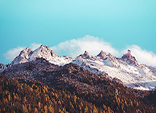 开云官网-明日焦点战篮网碰绿军 纳什将排常规轮换一验成色